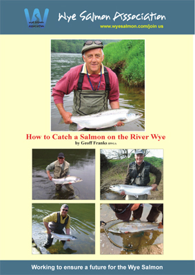 How to catch a salmon