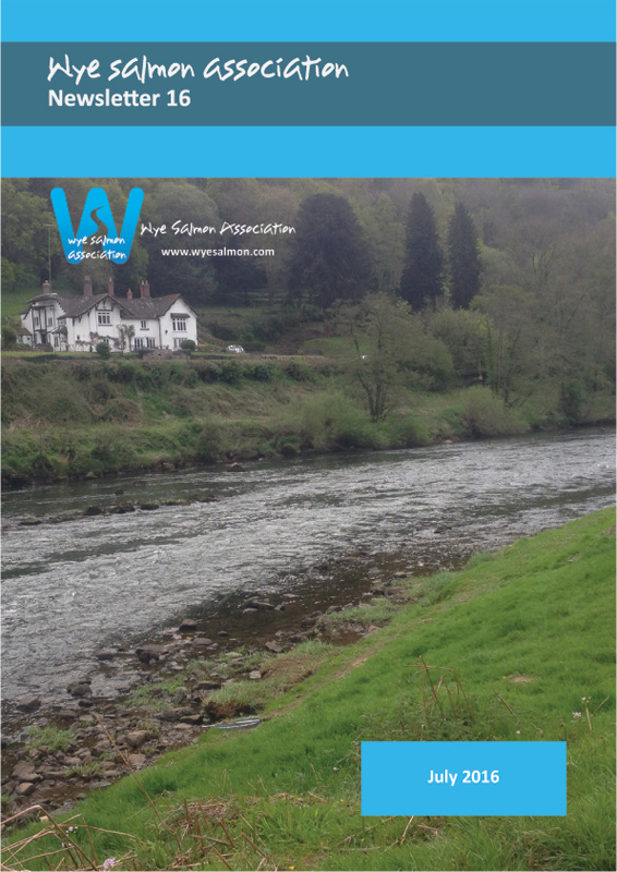 Wye Salmon Association Newsletter 16