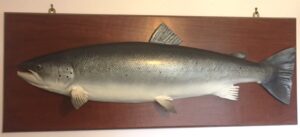 For Sale - Cast of 32lb Wye Springer.........