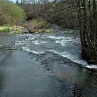 NRW Briefing on Monnow Pollution