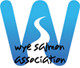wsa logo small