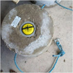 Temperature Monitoring News