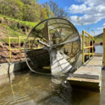 atlantic salmon smolt trap